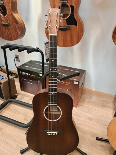 Martin Guitars - DJR-10E Street Master